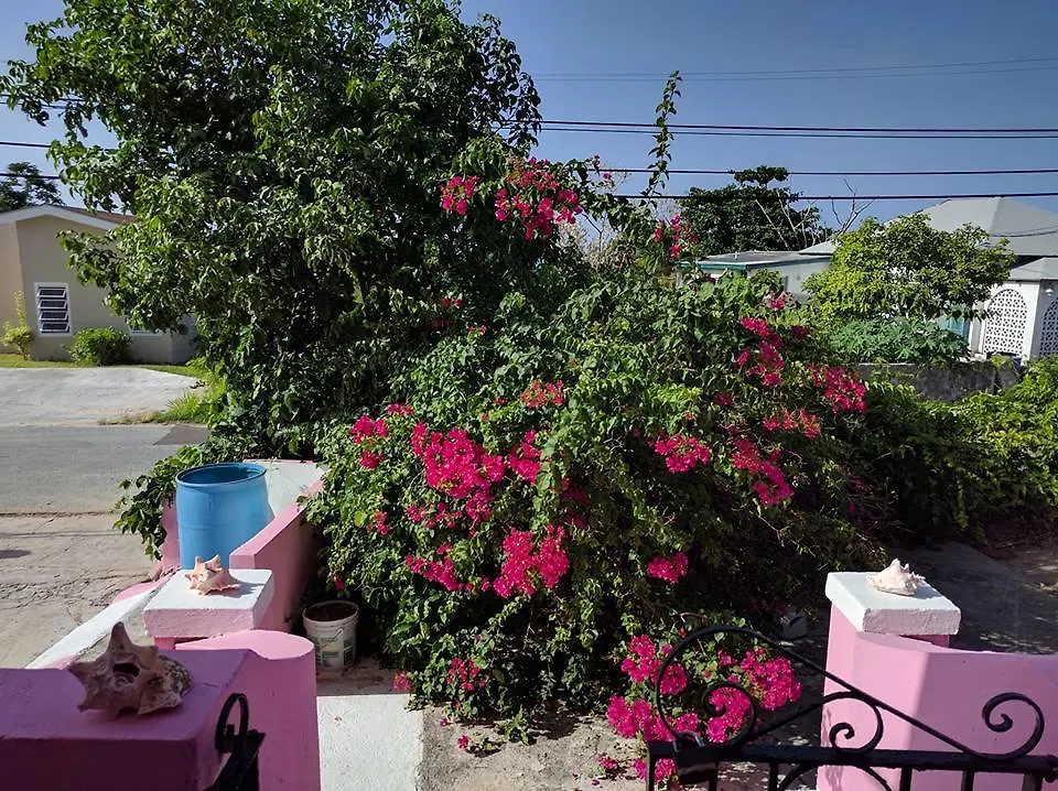 Da Pink And White Palace 나사우 호스텔